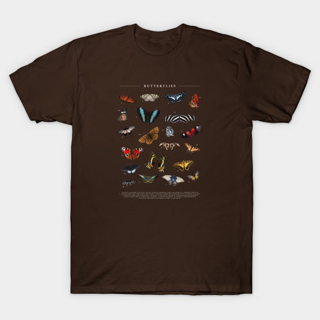 Vintage Butterfly Chart T-Shirt by uncommontee